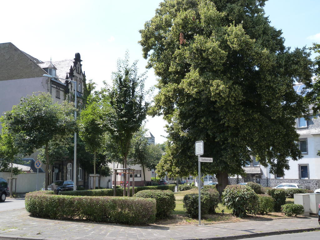 Hotel Jägerhof Mayen Exteriör bild